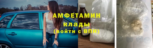 индика Волосово
