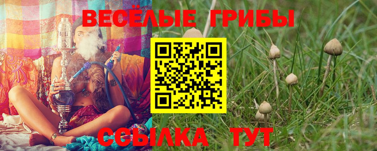 Мариинск  Псилоцибиновые грибы мухоморы  Галлюциногенные грибы Psilocybe  где найти   Вход с VPN 