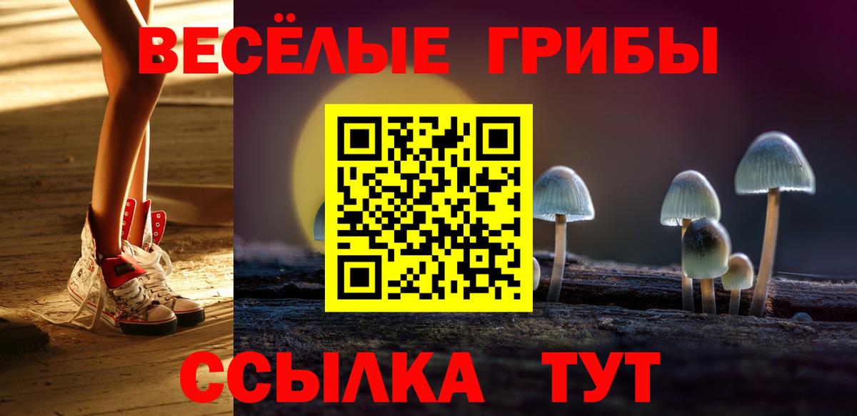 Псилоцибиновые грибы MAGIC MUSHROOMS Мариинск